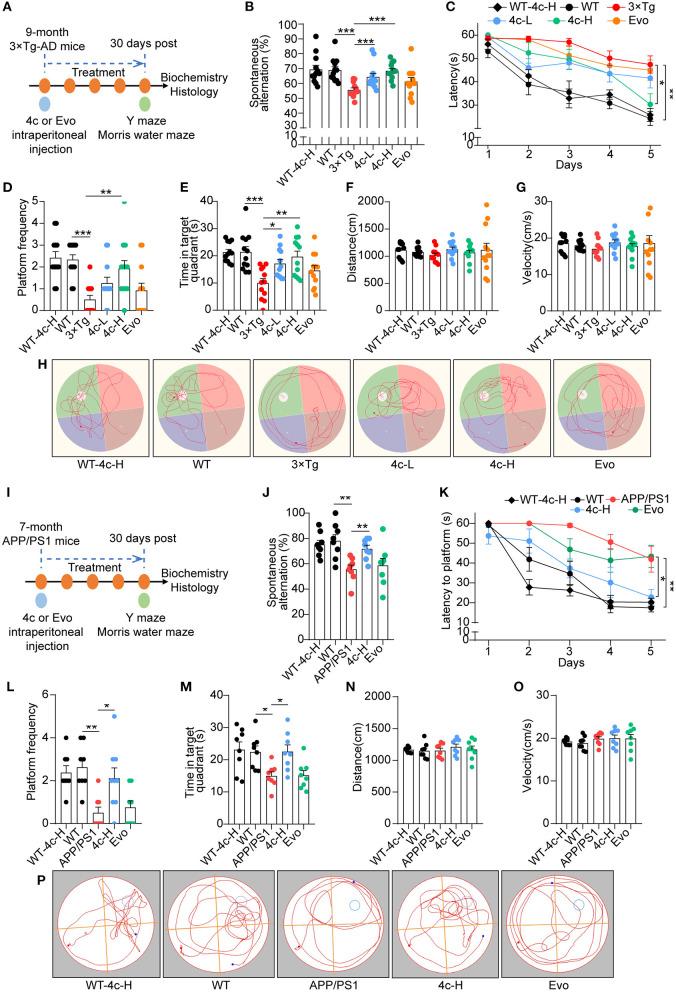 https://cdn.ncbi.nlm.nih.gov/pmc/blobs/ff77/9868638/d5aa184ec988/fnmol-15-1025066-g0004.jpg