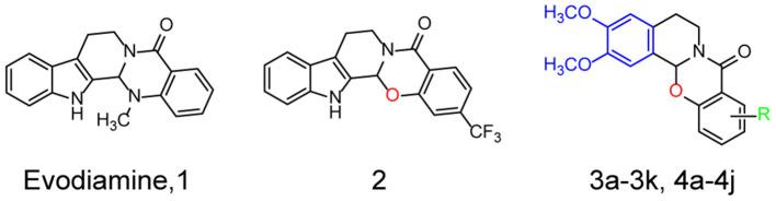 https://cdn.ncbi.nlm.nih.gov/pmc/blobs/ff77/9868638/f71d5747c4e2/fnmol-15-1025066-g0001.jpg