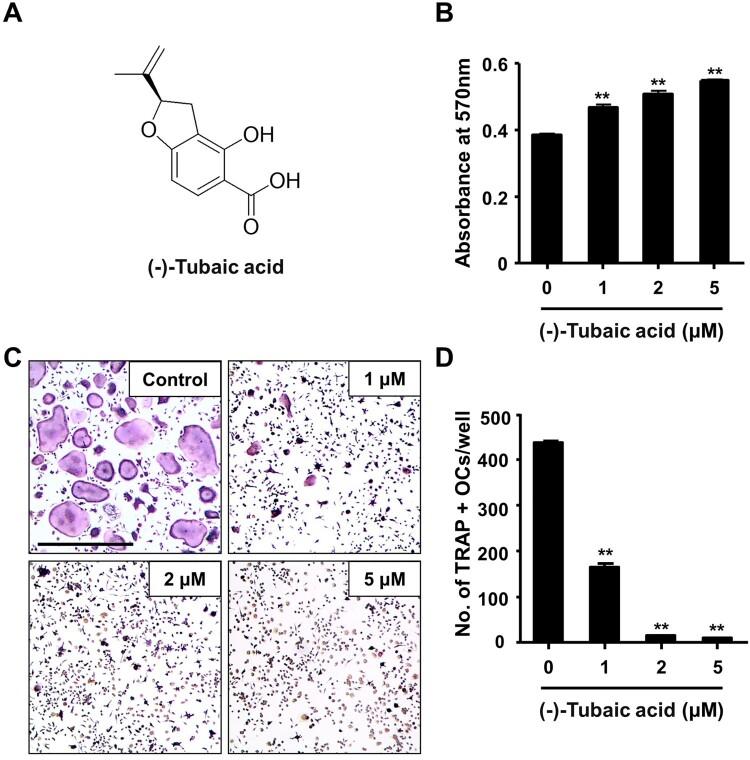 https://cdn.ncbi.nlm.nih.gov/pmc/blobs/ff7c/9873279/48b65f0a840b/TACS_A_2166107_F0001_OC.jpg