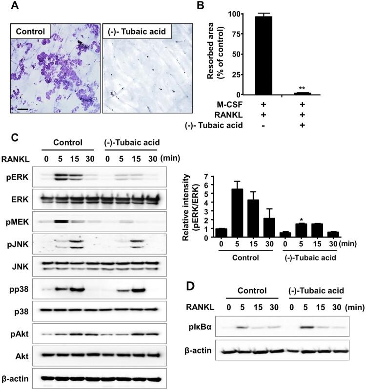 https://cdn.ncbi.nlm.nih.gov/pmc/blobs/ff7c/9873279/5cf5d61b0b93/TACS_A_2166107_F0004_OC.jpg