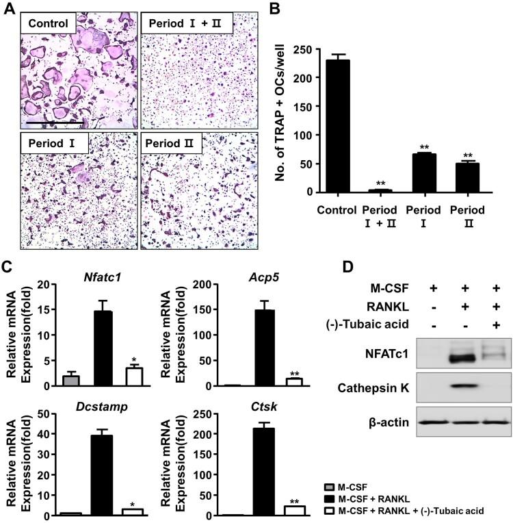 https://cdn.ncbi.nlm.nih.gov/pmc/blobs/ff7c/9873279/ee0880da0c4b/TACS_A_2166107_F0002_OC.jpg