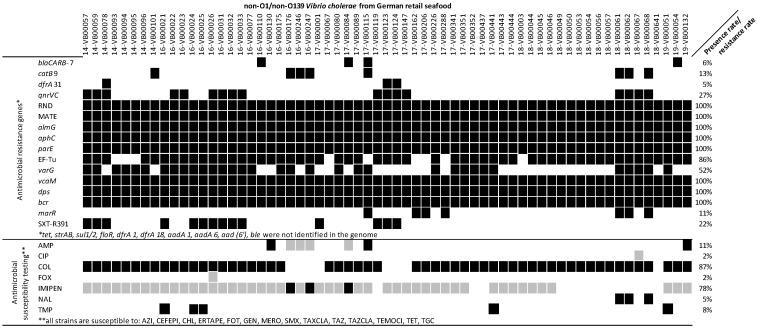 https://cdn.ncbi.nlm.nih.gov/pmc/blobs/ff7d/10672755/19c8393e2935/microorganisms-11-02751-g003.jpg