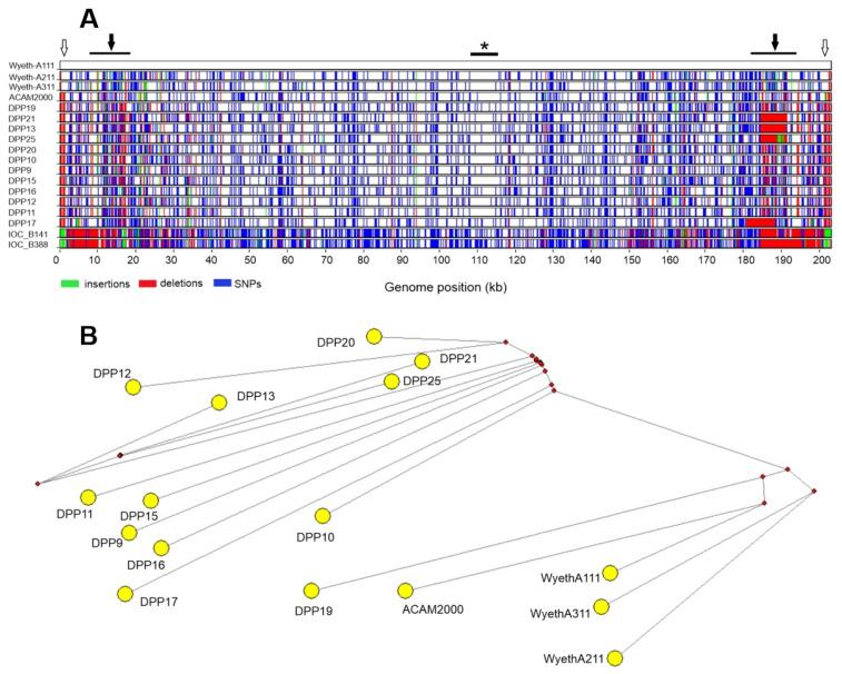 https://cdn.ncbi.nlm.nih.gov/pmc/blobs/ff7d/9864299/46e7a637d166/viruses-15-00083-g004.jpg