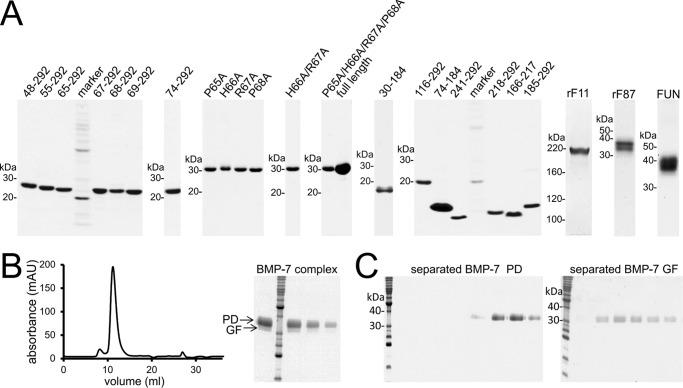 https://cdn.ncbi.nlm.nih.gov/pmc/blobs/ff7e/4933460/e725f5eafc56/zbc0261645010001.jpg