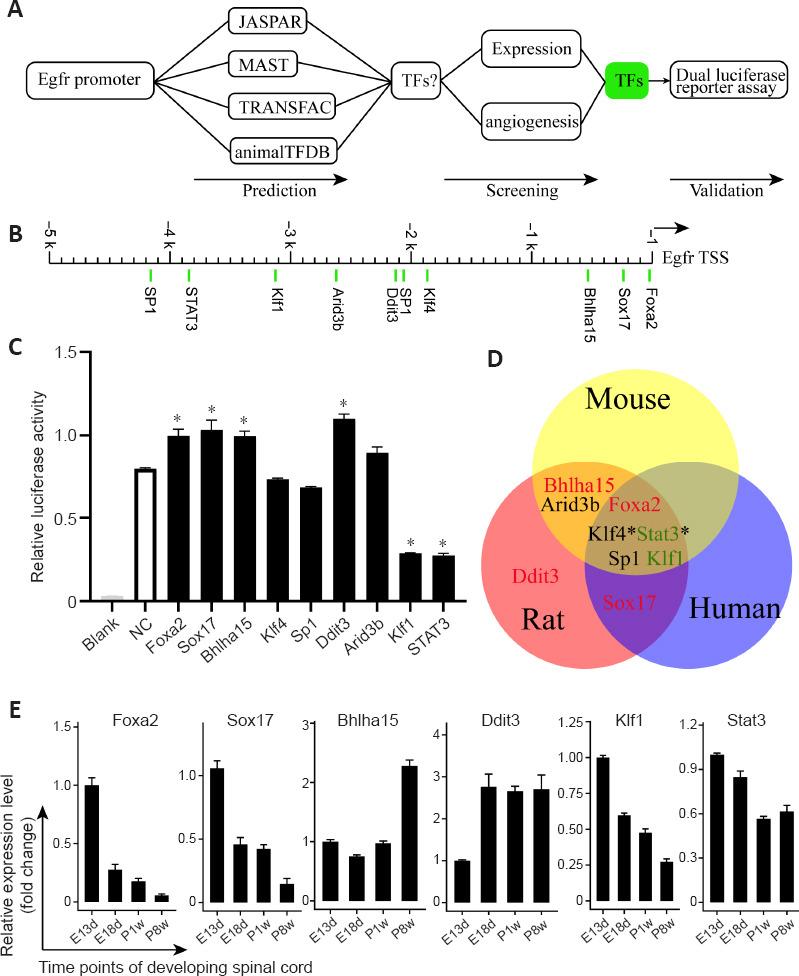 https://cdn.ncbi.nlm.nih.gov/pmc/blobs/ff7f/9120683/e16a8fc9b1d4/NRR-17-2484-g006.jpg