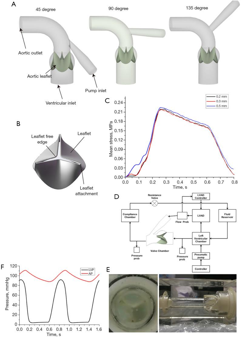 https://cdn.ncbi.nlm.nih.gov/pmc/blobs/ff82/11740063/b34ffd01d1d9/jtd-16-12-8620-f1.jpg