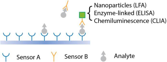 https://cdn.ncbi.nlm.nih.gov/pmc/blobs/ff84/12082306/03c49e4000c4/gr1.jpg