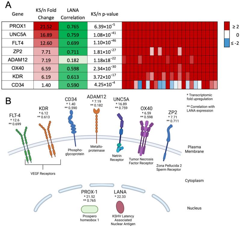 https://cdn.ncbi.nlm.nih.gov/pmc/blobs/ff89/10093722/b7a4524c3897/cancers-15-02171-g001.jpg