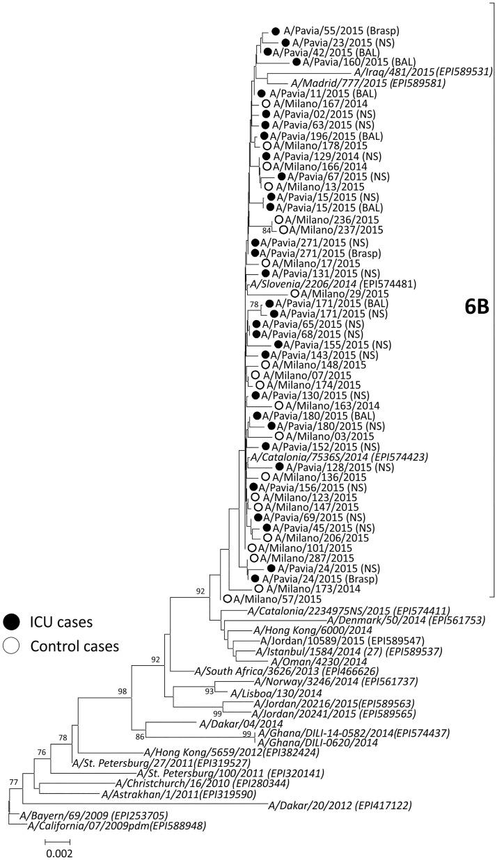 https://cdn.ncbi.nlm.nih.gov/pmc/blobs/ff89/5462403/0607b9e199c2/pone.0178926.g002.jpg