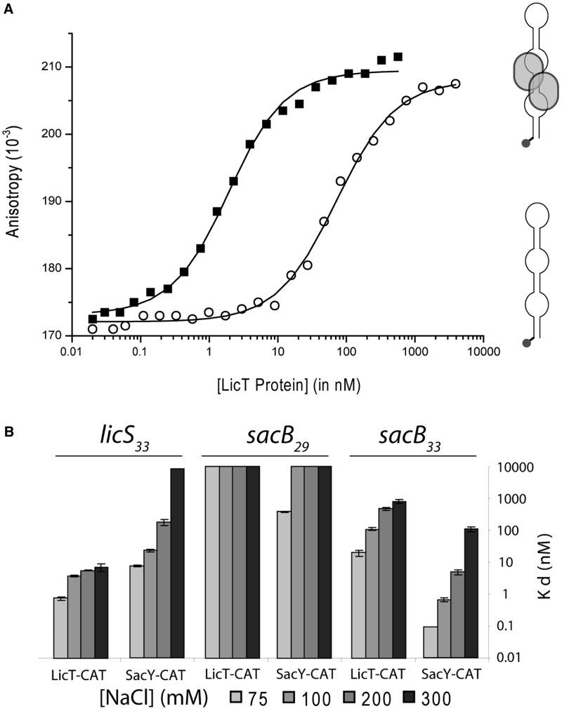 https://cdn.ncbi.nlm.nih.gov/pmc/blobs/ff8b/3575810/e68fa8409f0d/gks1315f2p.jpg