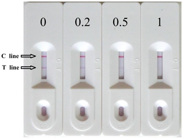 https://cdn.ncbi.nlm.nih.gov/pmc/blobs/ff8c/4179011/bb5eb866fcf5/sensors-14-14672f3.jpg