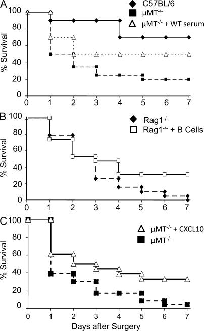 https://cdn.ncbi.nlm.nih.gov/pmc/blobs/ff8e/3149216/bd808c9242d6/JEM_20101715R_LW_Fig6.jpg
