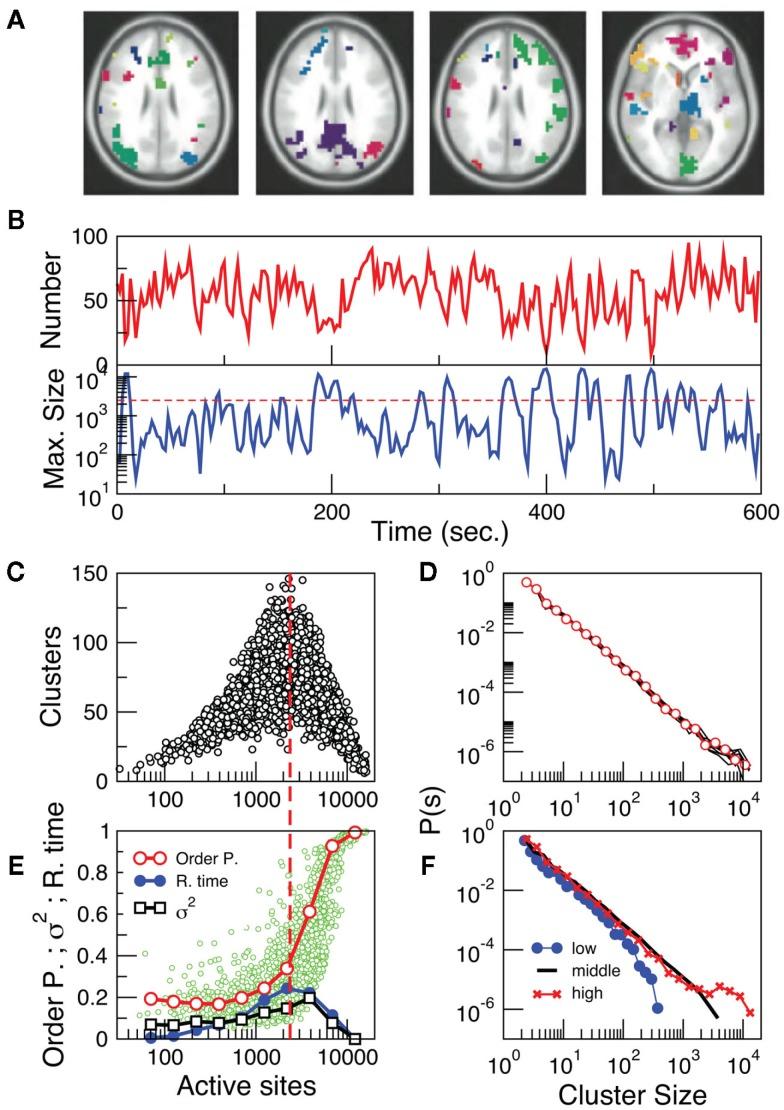 https://cdn.ncbi.nlm.nih.gov/pmc/blobs/ff8e/3274757/340e3fc346a6/fphys-03-00015-g003.jpg