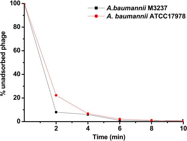https://cdn.ncbi.nlm.nih.gov/pmc/blobs/ff93/3710471/37a18aa7f791/1471-2180-13-154-1.jpg