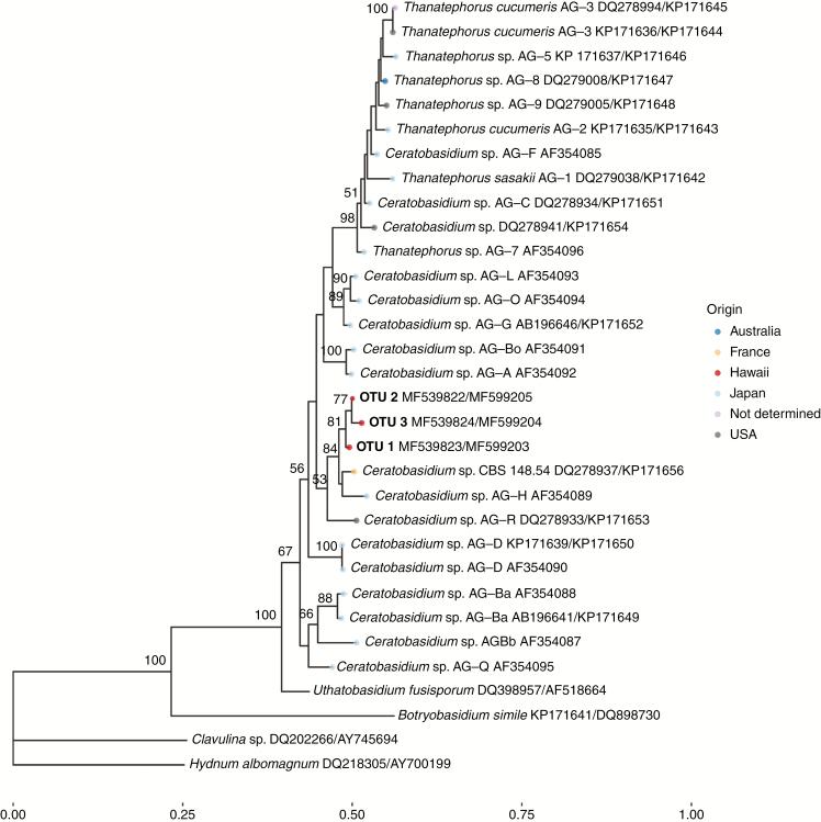https://cdn.ncbi.nlm.nih.gov/pmc/blobs/ff93/6417469/0aa80c815ece/mcy19803.jpg