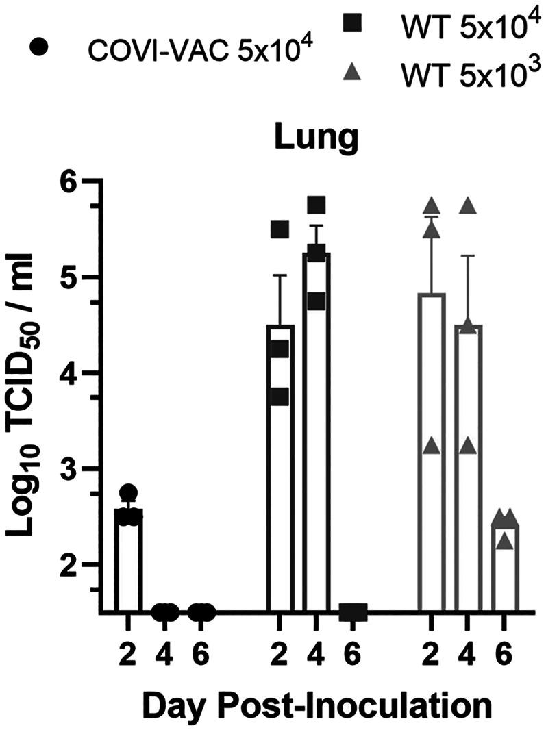 https://cdn.ncbi.nlm.nih.gov/pmc/blobs/ff93/8307828/679516bdacd9/pnas.2102775118fig03.jpg