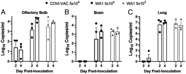 https://cdn.ncbi.nlm.nih.gov/pmc/blobs/ff93/8307828/a97fbfb58dea/pnas.2102775118fig02.jpg