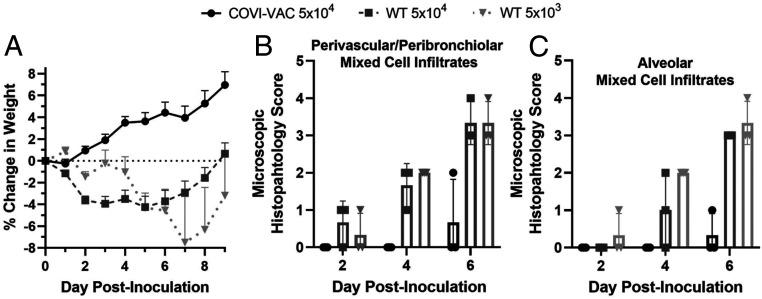 https://cdn.ncbi.nlm.nih.gov/pmc/blobs/ff93/8307828/c603740611a4/pnas.2102775118fig04.jpg