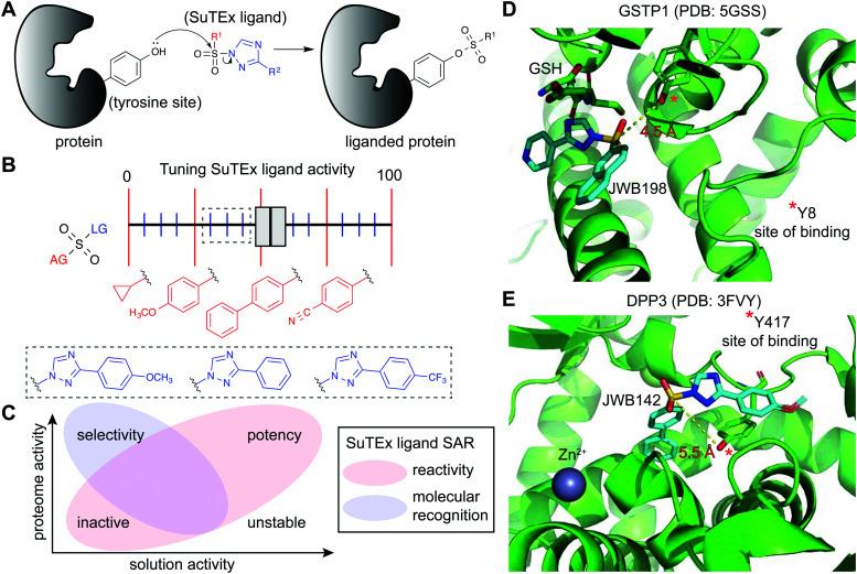 https://cdn.ncbi.nlm.nih.gov/pmc/blobs/ff93/8341829/f1413bfda74e/d0cb00180e-f6.jpg