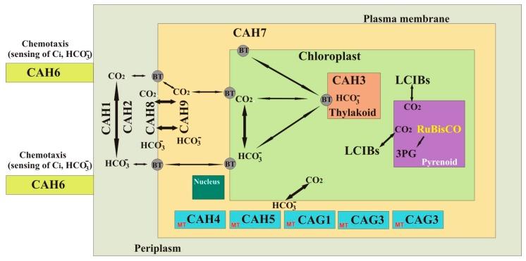 https://cdn.ncbi.nlm.nih.gov/pmc/blobs/ff97/5876011/cf282f3a8dad/metabolites-08-00022-g002.jpg