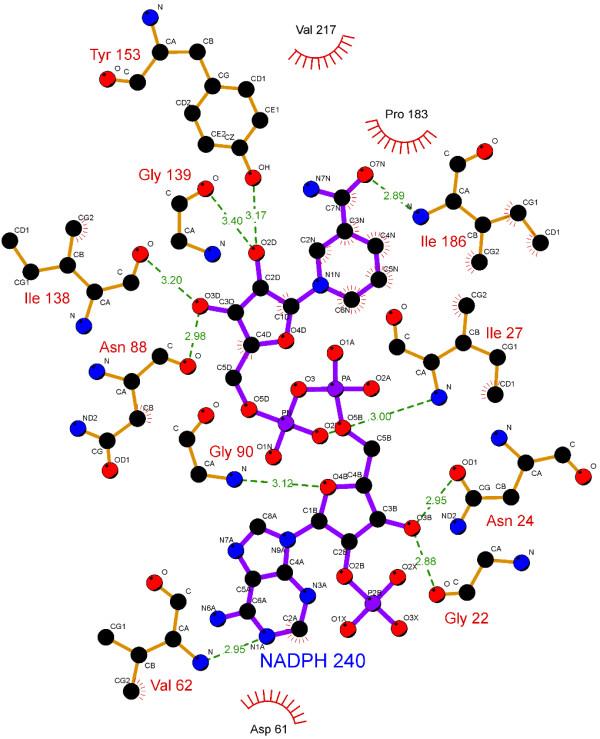 https://cdn.ncbi.nlm.nih.gov/pmc/blobs/ff99/3519566/121ad0e75314/1756-0500-5-526-4.jpg