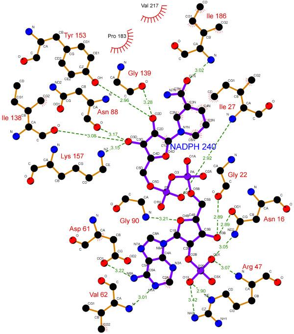 https://cdn.ncbi.nlm.nih.gov/pmc/blobs/ff99/3519566/417619d168c6/1756-0500-5-526-2.jpg