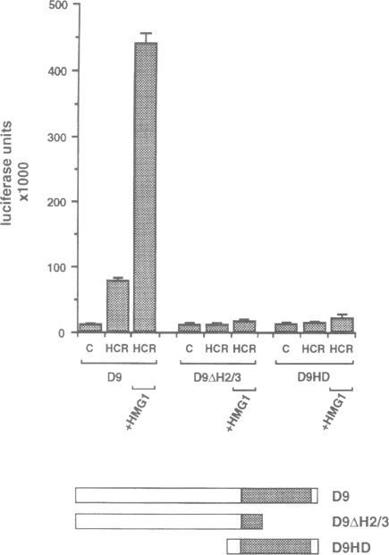 https://cdn.ncbi.nlm.nih.gov/pmc/blobs/ff9d/452236/5478539c7cf0/emboj00018-0205-a.jpg