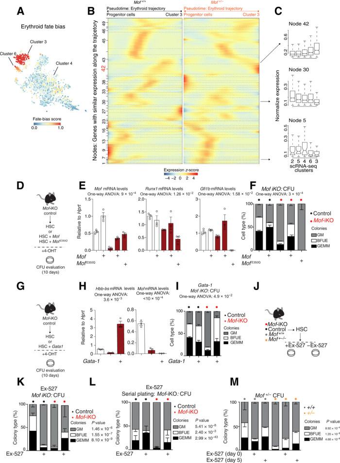 https://cdn.ncbi.nlm.nih.gov/pmc/blobs/ff9e/7314555/24d663e2ed18/aaz4815-F6.jpg