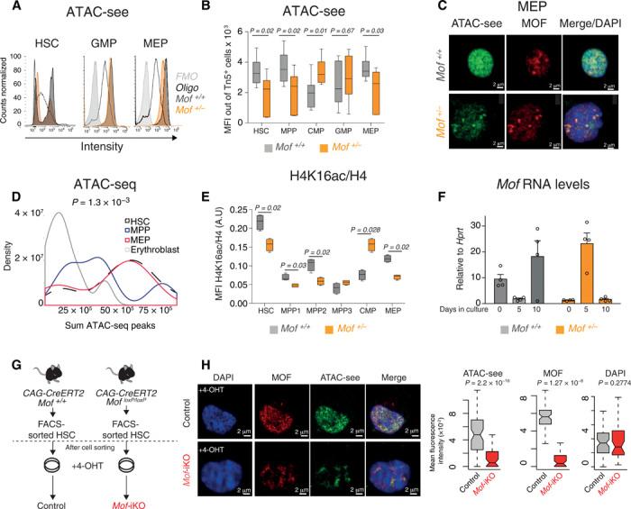https://cdn.ncbi.nlm.nih.gov/pmc/blobs/ff9e/7314555/2ae6f83aa79e/aaz4815-F3.jpg