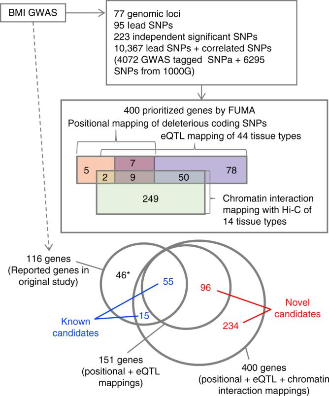 https://cdn.ncbi.nlm.nih.gov/pmc/blobs/ffa1/5705698/28b37e67cb1a/41467_2017_1261_Fig2_HTML.jpg