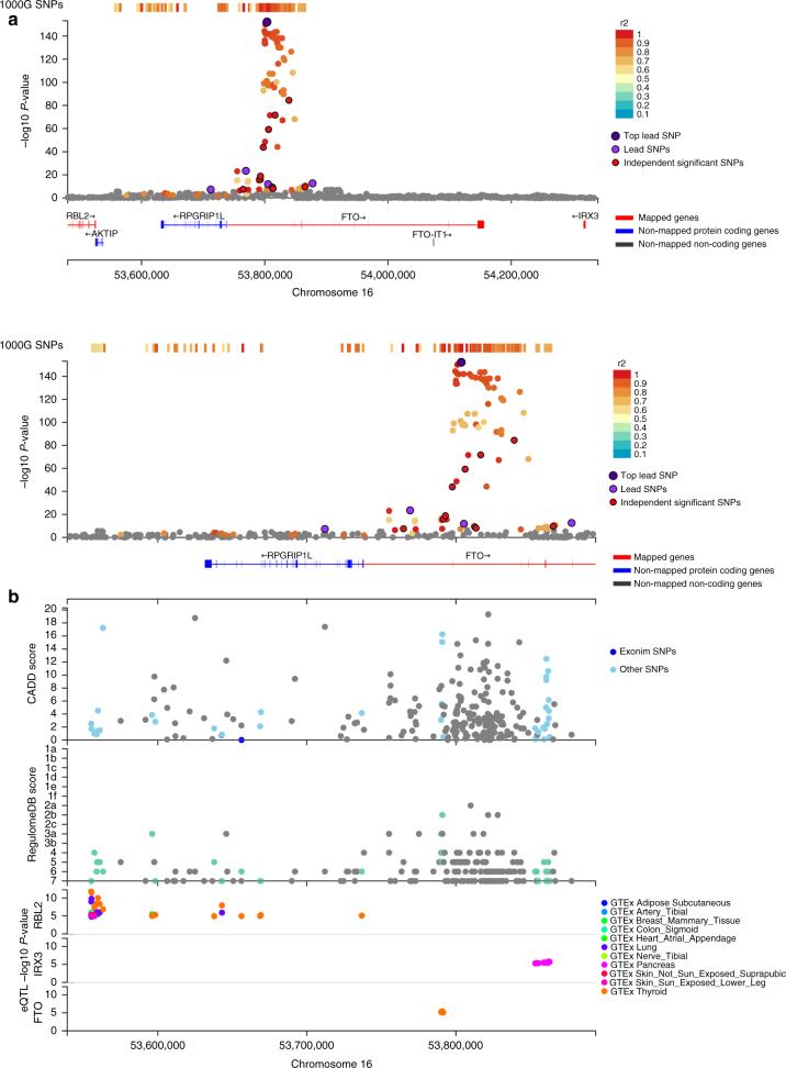https://cdn.ncbi.nlm.nih.gov/pmc/blobs/ffa1/5705698/5296ea75892b/41467_2017_1261_Fig3_HTML.jpg