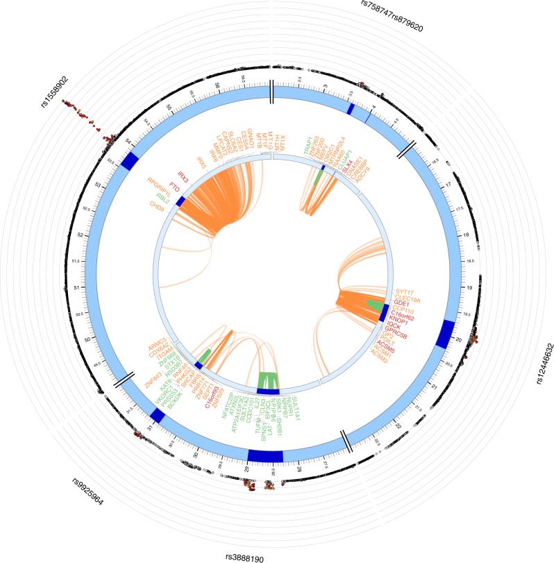 https://cdn.ncbi.nlm.nih.gov/pmc/blobs/ffa1/5705698/59f794ab5e7b/41467_2017_1261_Fig4_HTML.jpg