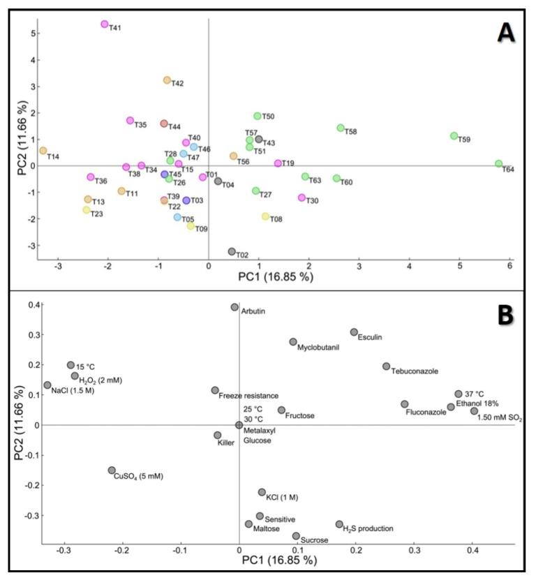 https://cdn.ncbi.nlm.nih.gov/pmc/blobs/ffa1/9225199/210a364c5357/jof-08-00569-g001.jpg