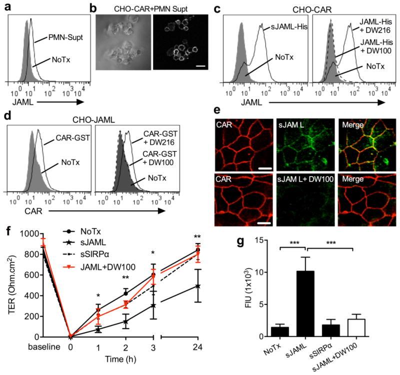 https://cdn.ncbi.nlm.nih.gov/pmc/blobs/ffa6/4340686/20378735e4df/nihms564984f4.jpg