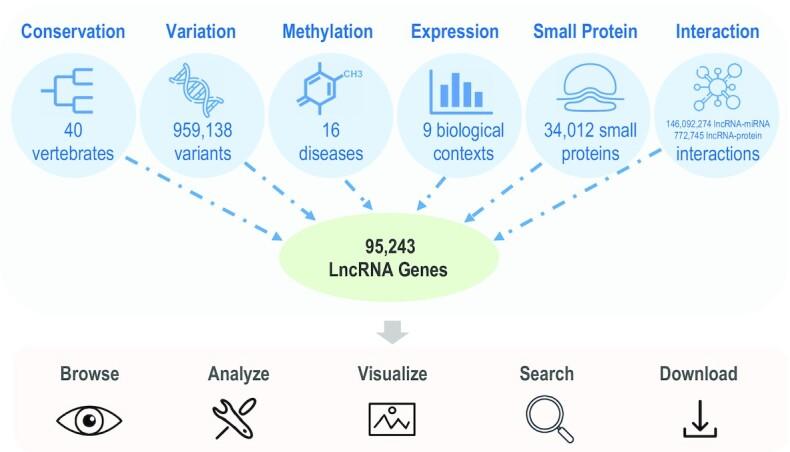 https://cdn.ncbi.nlm.nih.gov/pmc/blobs/ffa7/9825513/f88a3c6ed472/gkac999fig1.jpg