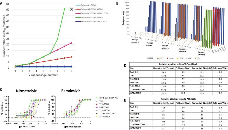 https://cdn.ncbi.nlm.nih.gov/pmc/blobs/ffa8/11268423/df0d9227c469/sciadv.adl4013-f1.jpg