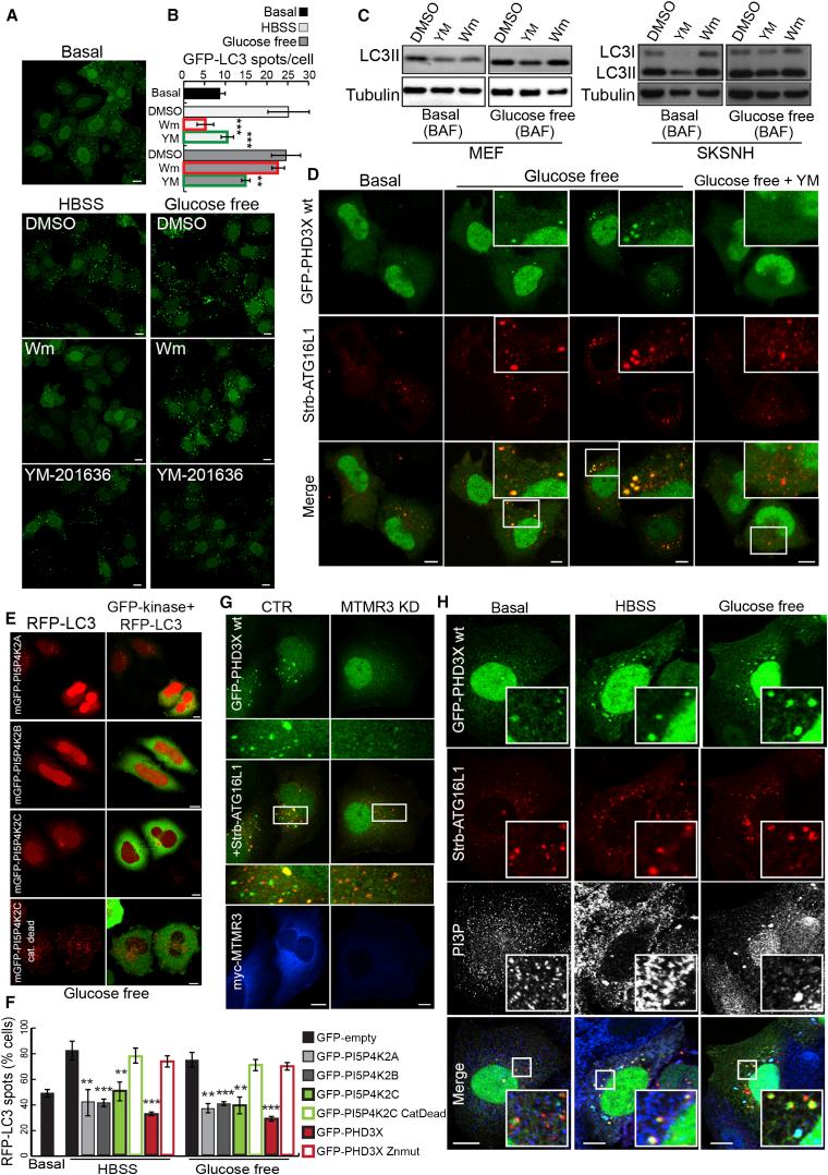 https://cdn.ncbi.nlm.nih.gov/pmc/blobs/ffaa/4306530/3dd1878ec00c/gr7.jpg