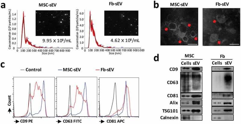 https://cdn.ncbi.nlm.nih.gov/pmc/blobs/ffab/7034457/efda3130f003/ZJEV_A_1723260_F0002_OC.jpg