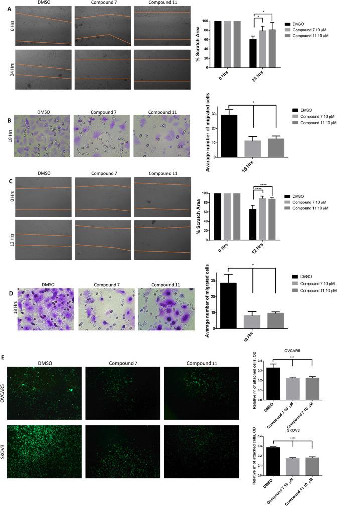https://cdn.ncbi.nlm.nih.gov/pmc/blobs/ffaf/10388319/85d486a95fb8/jm2c01859_0006.jpg