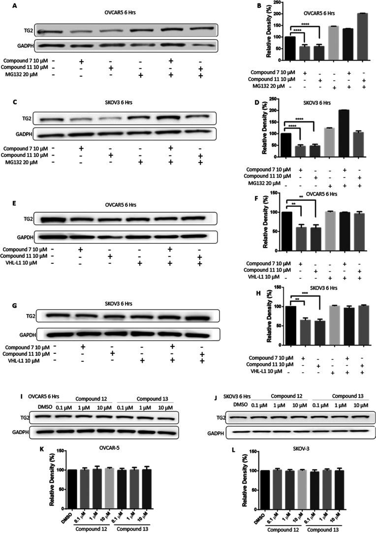 https://cdn.ncbi.nlm.nih.gov/pmc/blobs/ffaf/10388319/99c5f59d95c2/jm2c01859_0005.jpg