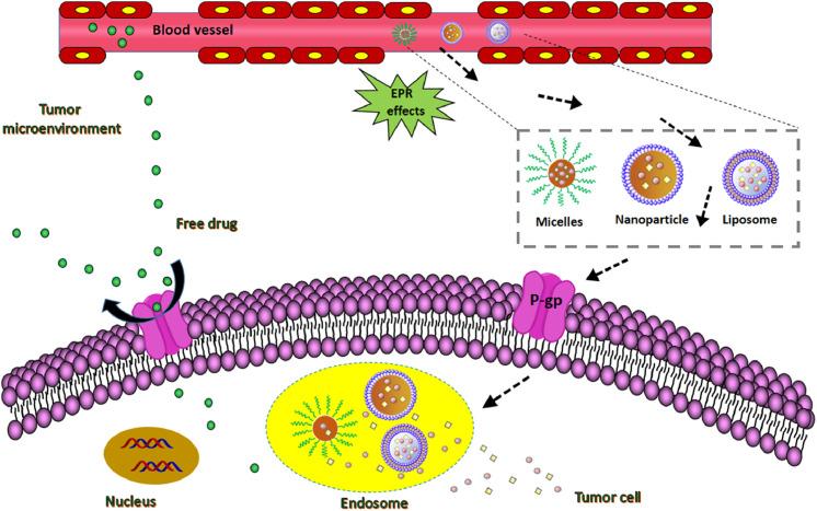 https://cdn.ncbi.nlm.nih.gov/pmc/blobs/ffb0/8105416/e9d64b206db9/gr2.jpg