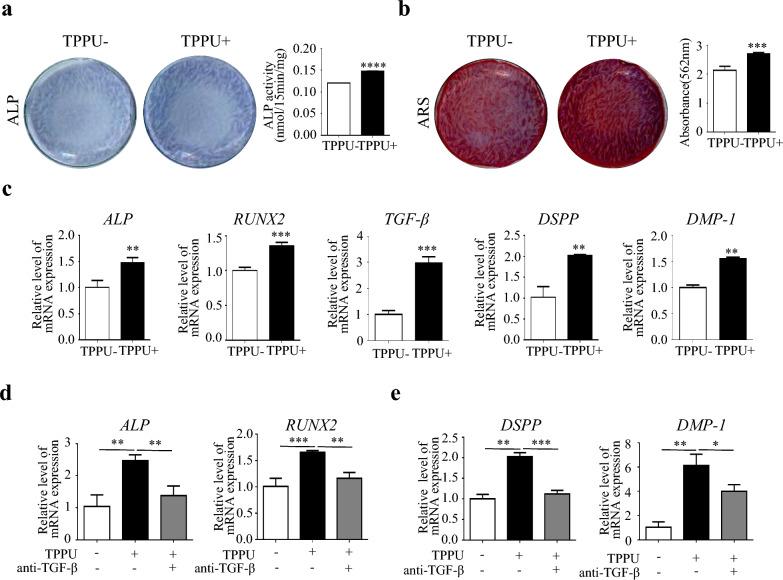 https://cdn.ncbi.nlm.nih.gov/pmc/blobs/ffb2/10790489/2216f1bc90ab/12967_2024_4863_Fig1_HTML.jpg