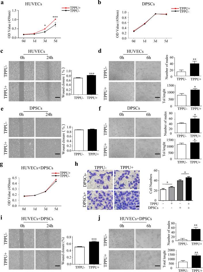 https://cdn.ncbi.nlm.nih.gov/pmc/blobs/ffb2/10790489/a6e30602fe32/12967_2024_4863_Fig2_HTML.jpg