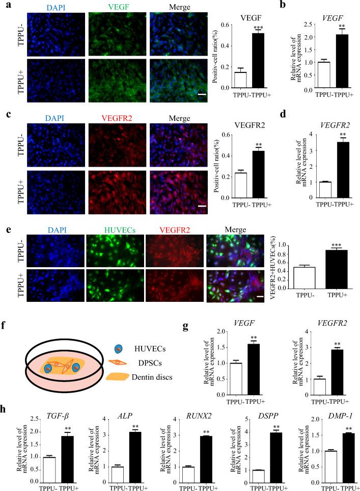 https://cdn.ncbi.nlm.nih.gov/pmc/blobs/ffb2/10790489/d7e92adf90f4/12967_2024_4863_Fig3_HTML.jpg