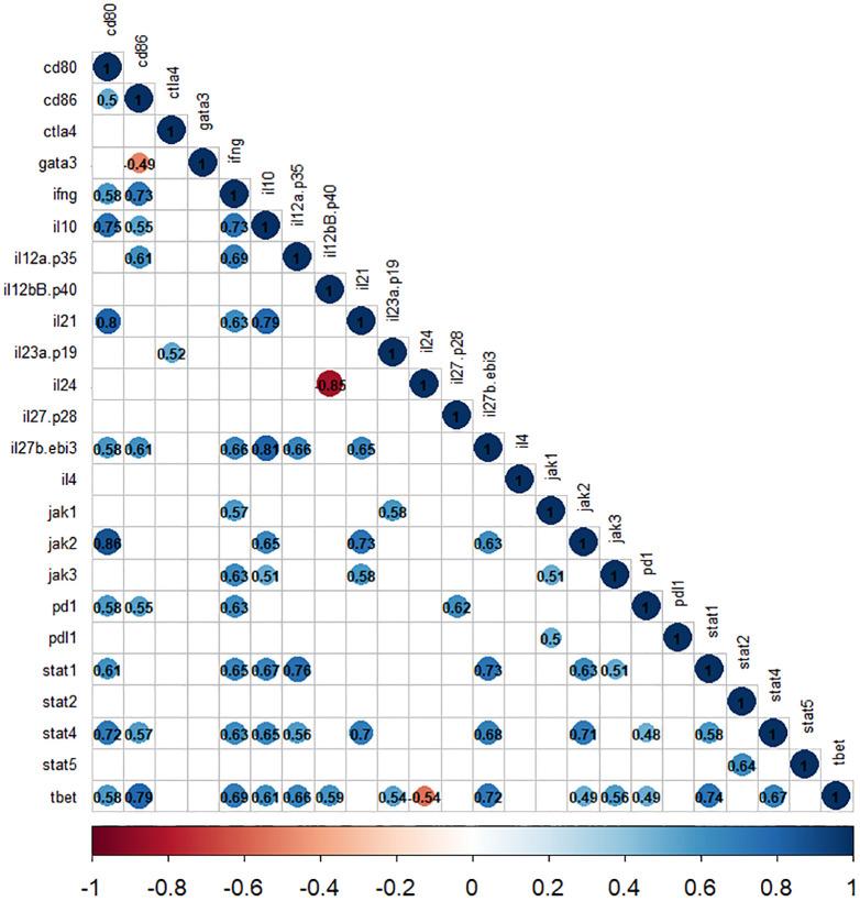 https://cdn.ncbi.nlm.nih.gov/pmc/blobs/ffb2/11446769/dd30383f62d6/fimmu-15-1436029-g006.jpg