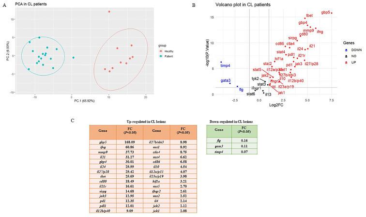 https://cdn.ncbi.nlm.nih.gov/pmc/blobs/ffb2/11446769/e0444064de4a/fimmu-15-1436029-g001.jpg
