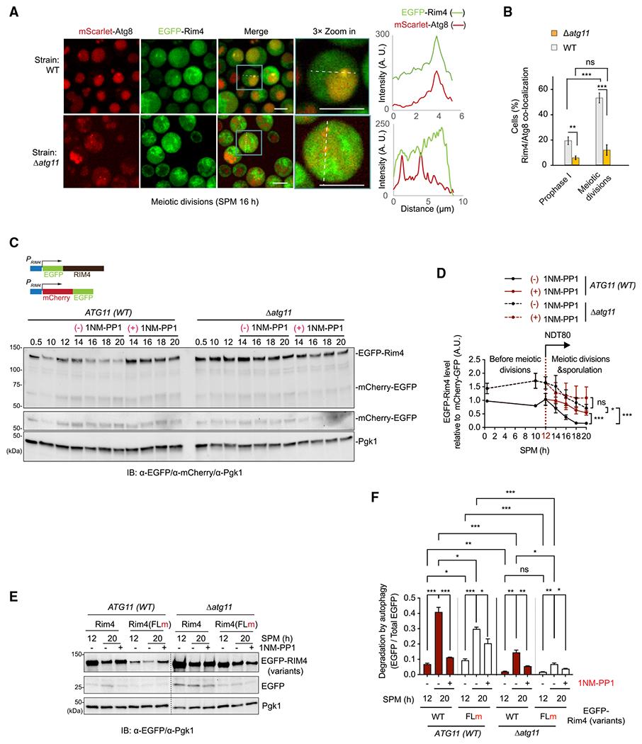 https://cdn.ncbi.nlm.nih.gov/pmc/blobs/ffb3/10591816/09f07fe95be5/nihms-1933892-f0004.jpg