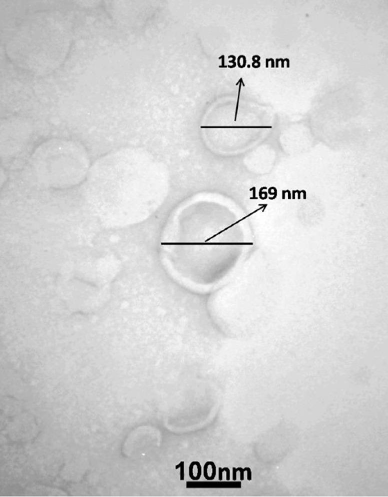https://cdn.ncbi.nlm.nih.gov/pmc/blobs/ffb6/11790195/52f91567e291/IJBMS-28-347-g001.jpg