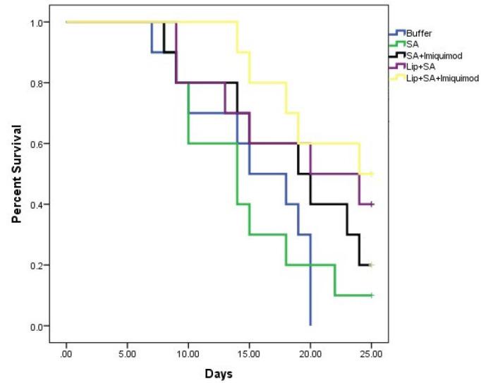 https://cdn.ncbi.nlm.nih.gov/pmc/blobs/ffb6/11790195/7303d8f0f627/IJBMS-28-347-g005.jpg