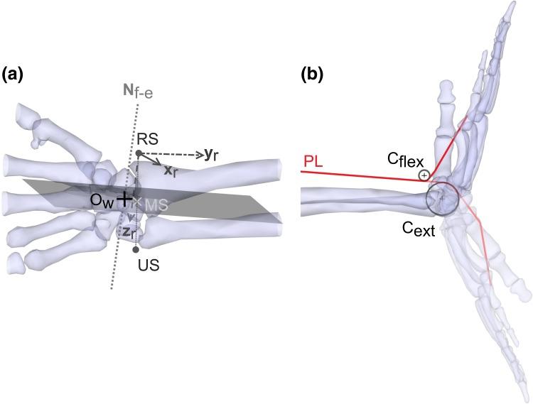 https://cdn.ncbi.nlm.nih.gov/pmc/blobs/ffb6/5754461/d7f255a5bfb6/10439_2017_1936_Fig2_HTML.jpg